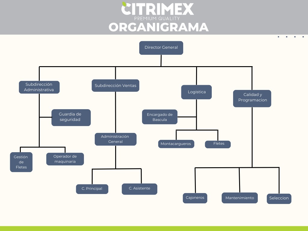 Organigrama de Citrimex